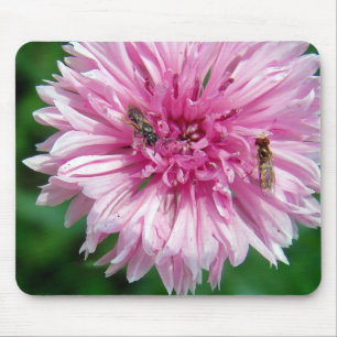 Rosa Blume und Insekten Mousepad