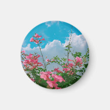 Rosa Blume unter blauem Himmel mit Wolken - Natur