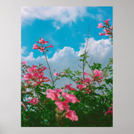 Rosa Blume unter blauem Himmel mit Wolken - Natur Poster