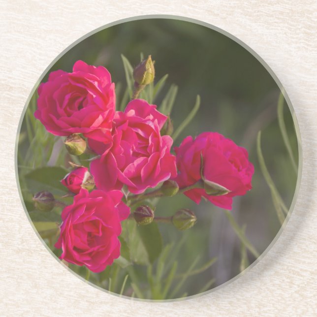Rosa Blume Untersetzer (Vorne)