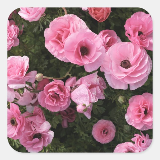 Rosa Blumen Aufkleber (Vorderseite)