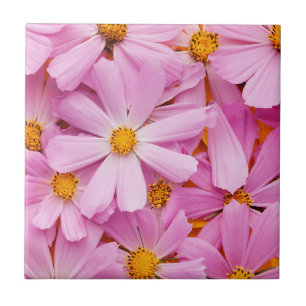 Rosa Blumen Fliese