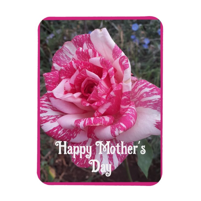 Rosa Blumen Floral Rose Müttertag Karte Magnet (Vertikal)