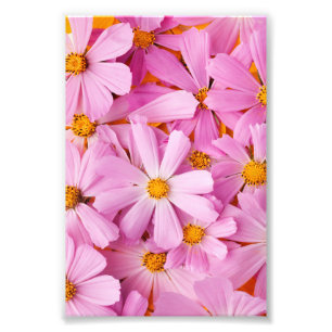 Rosa Blumen Fotodruck