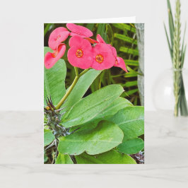 Rosa Blumen Grußkarte Karte