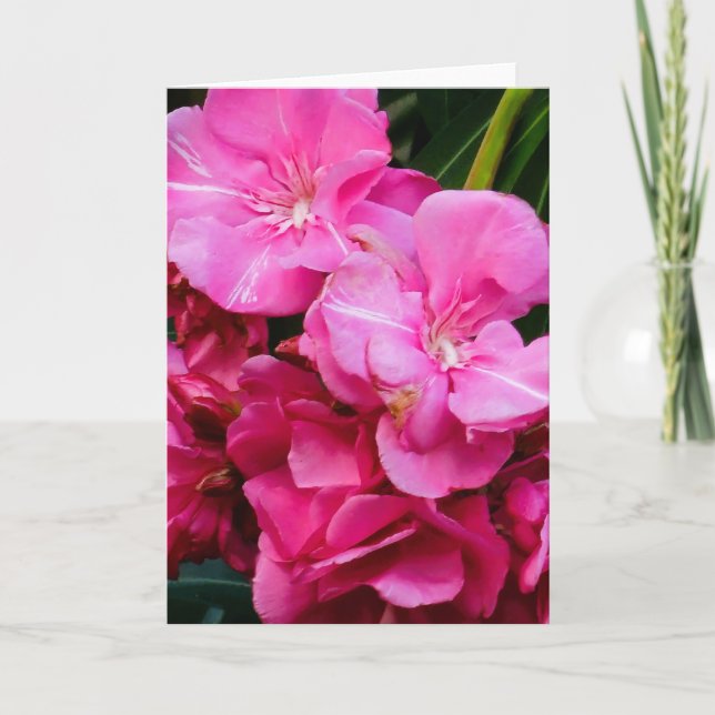 Rosa Blumen Grußkarte Karte (Vorderseite)