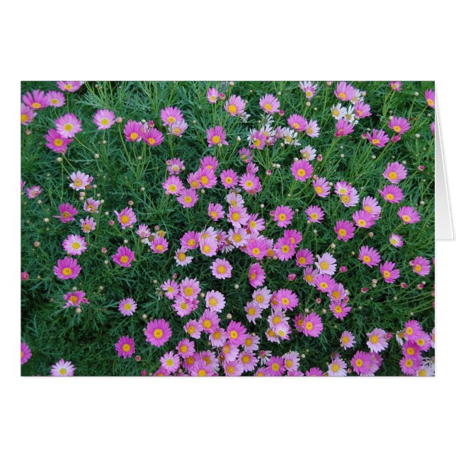 Rosa Blumen-Karte (Vorderseite (Horizontal))