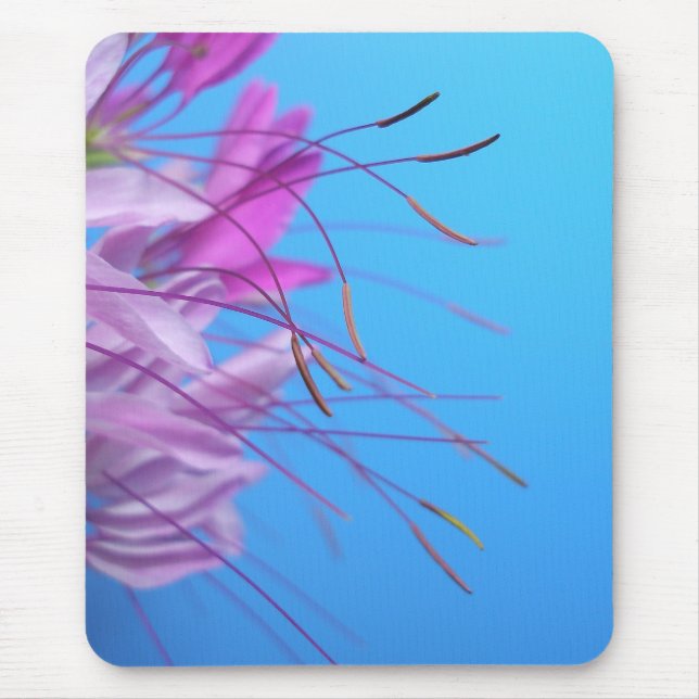 Rosa Blumen Mousepad (Vorne)