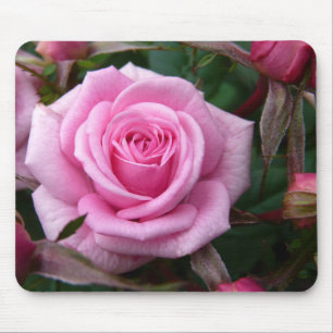 Rosa Blumen Mousepad Rosen-Dekor-Geschenke