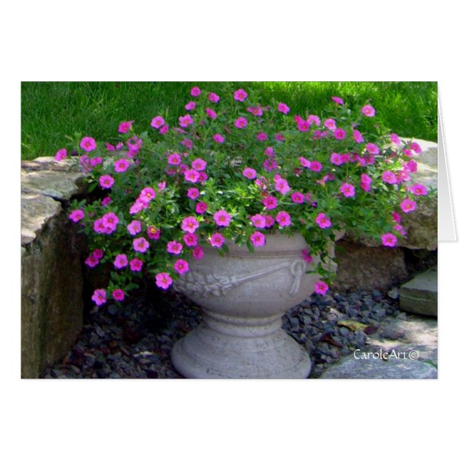 Rosa Blumen-Pflanzer-Anmerkungen (Vorderseite (Horizontal))