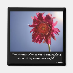 Rosa Blumen-Ruhm-Magnet Magnet