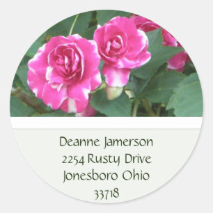 Rosa Blumenadressen-Aufkleber Runder Aufkleber