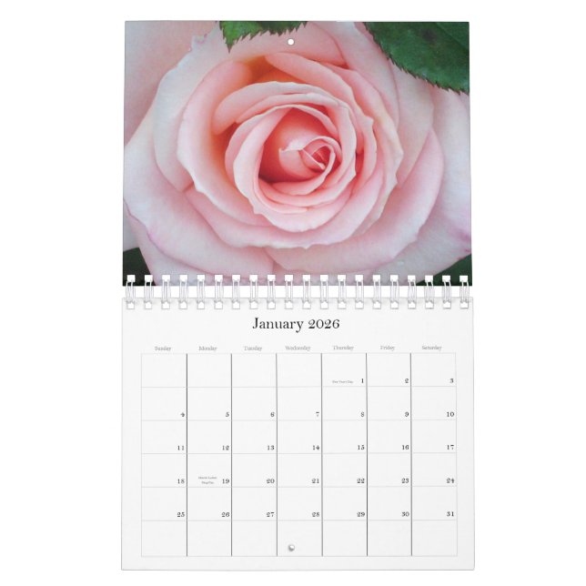Rosa Blumenkalender der Rosen-2011 Kalender (Jan 2026)