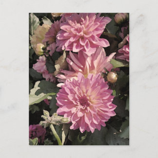 Rosa Blumenmuster Kunst von Renee Lavoie Postkarte