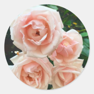 Rosa Blumenmuster Runder Aufkleber