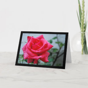 Rosa Blumenporträt in Rosa Karte