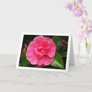 Rosa Blumenrose Karte