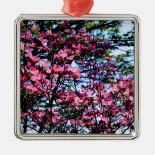 Rosa Blüte Dogwood Silbernes Ornament