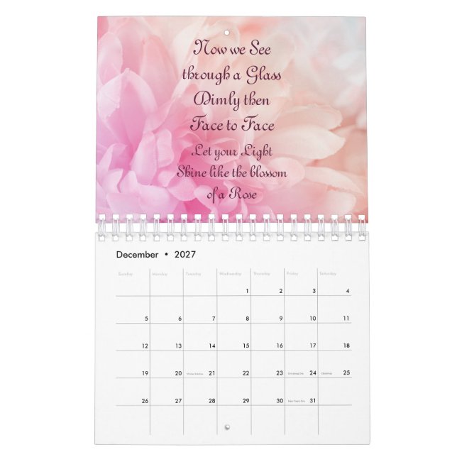 Rosa Blüte im Kalender 2023 (Dez 2027)
