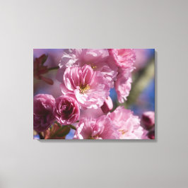 Rosa Blüte japanischer Kirschblüten Kunst Leinwanddruck