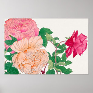 Rosa Blüten in Rosa und Blassorange Poster