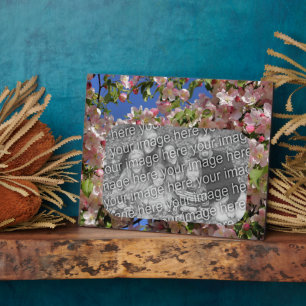 Rosa Blüten kreieren Ihr eigenes Foto Fotoplatte