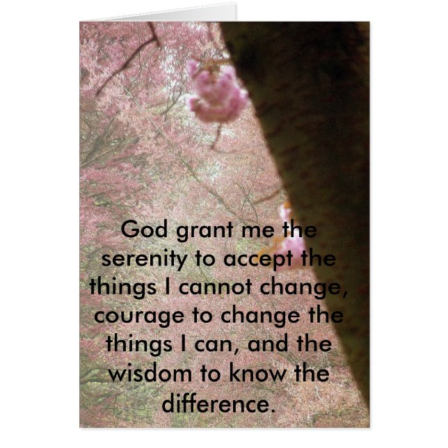 Rosa Blüten und Ruhe (Vorne)