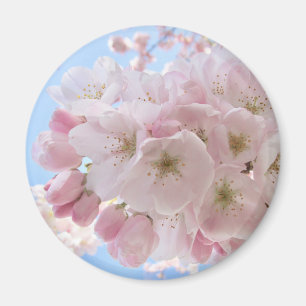 Rosa Blüten unter blauem Himmel.  Magnet