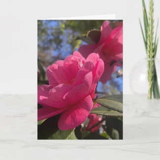 Rosa Blütenblätter 1 - Gefaltete Grußkarte Karte