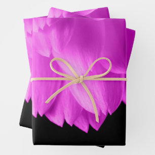 Rosa Blütenblätter auf schwarzen Blume Geschenkpapier Set