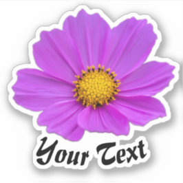 Rosa Blütenblätter mit gelben Briefmarke im Frühja Aufkleber