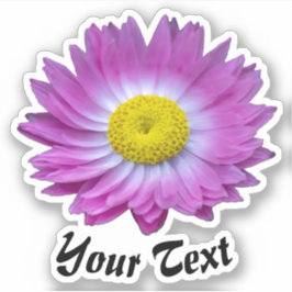 Rosa Blütenblätter mit gelben Briefmarke im Frühja Aufkleber