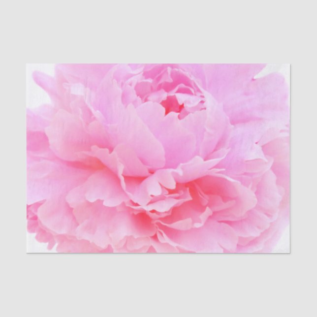 Rosa Blütenblätter Seidenpapier (Vorderseite)
