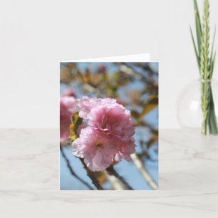 Rosa Blütenblume blüht Feiertagskarte