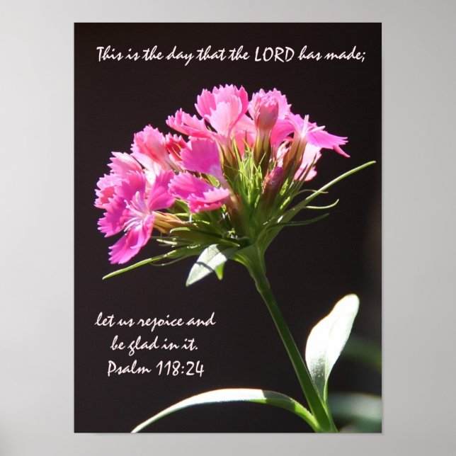 Rosa Blütenblüte mit Verse aus Psalm 118:24 Poster (Vorne)
