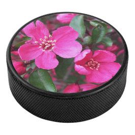 Rosa Blütenkrabapfel Eishockey Puck