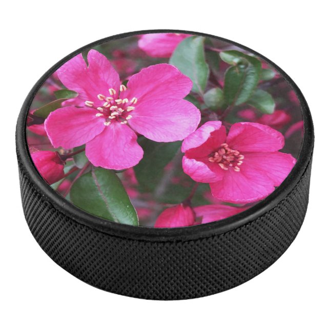Rosa Blütenkrabapfel Eishockey Puck (3/4)