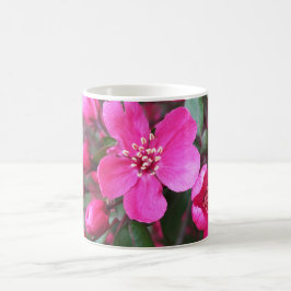 Rosa Blütenkrabapfel Kaffeetasse
