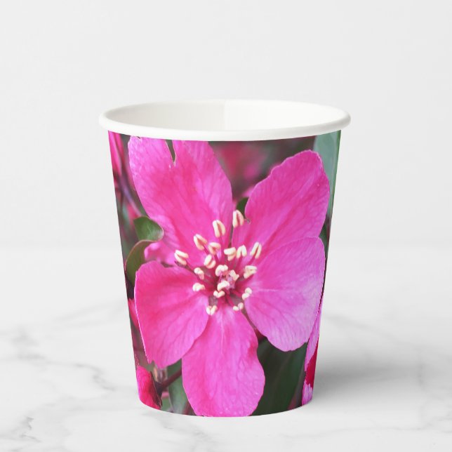 Rosa Blütenkrabapfel Pappbecher (Links)