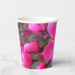 Rosa Blütenkrabapfel Pappbecher