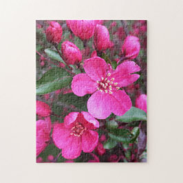 Rosa Blütenkrabapfel Puzzle