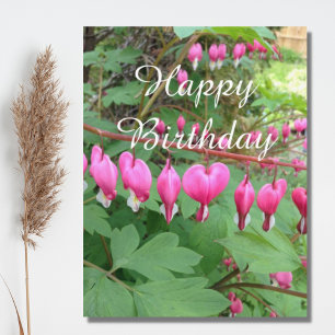 Rosa Blutung Herzbluten Foto Geburtstag Postkarte