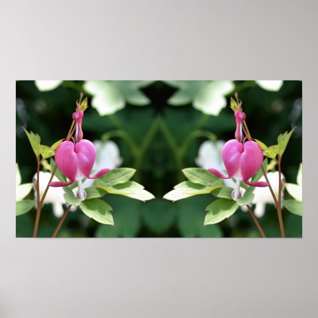 Rosa Blutung Herzspiegel Blume Abstrakt Poster (Vorne)