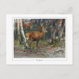 Rosa Bonheur #135 - Feine Kunst Postkarte