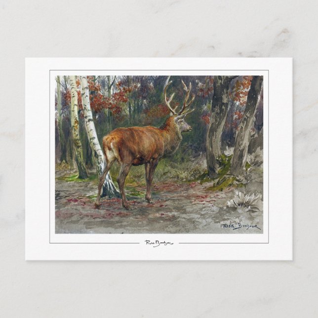 Rosa Bonheur #135 - Fine Art Postkarte (Vorderseite)