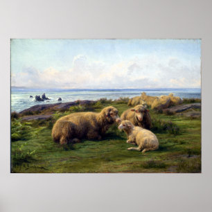 Rosa Bonheur Schafe am Meer Poster