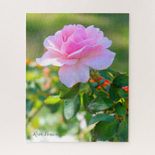 Rosa Bonica '82 Puzzle