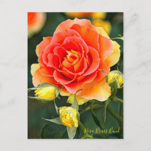 Rosa Brass Band [Postkarte] Postkarte