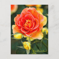 Rosa Brass Band [Postkarte]