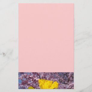 Rosa Briefpapier-Baum-Blüten-Frühlings-Narzissen Briefpapier